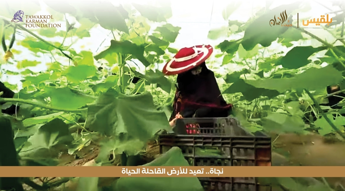 مؤسسة توكل كرمان تحقق حلم مهندسة زراعية بتعز